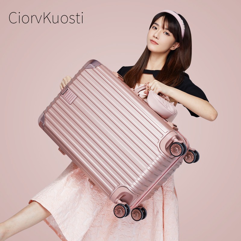 Japanese discount luggage brands