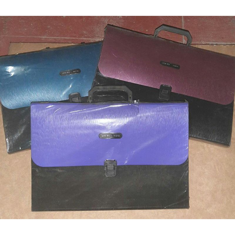 Long Accordion Document Divider Expandable Envelope Filing Case with