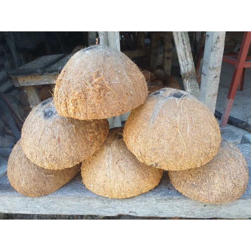 Coconut Shell, unpolished, 1 kg | Shopee Philippines