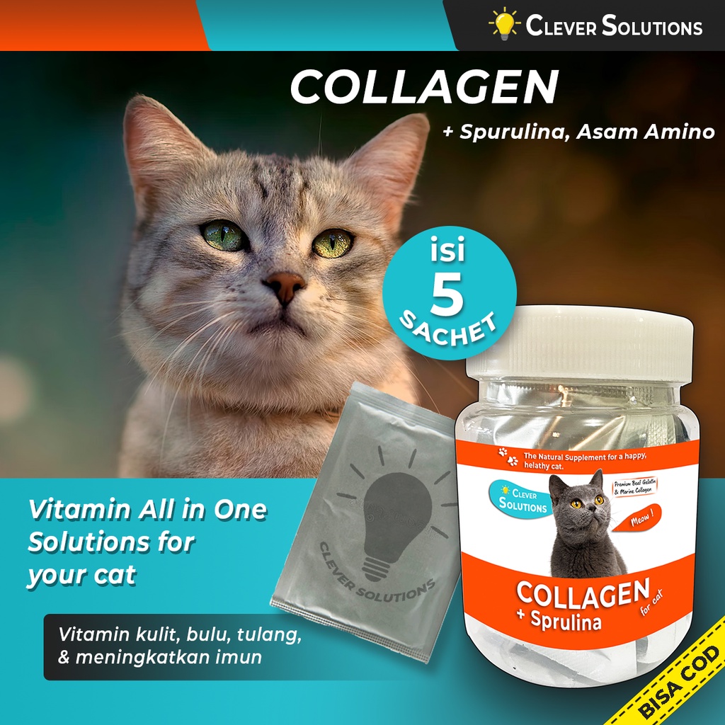 Collagen Vitamin Cat Vitamin Fattening Supplement Cat Hair Vitamin with
