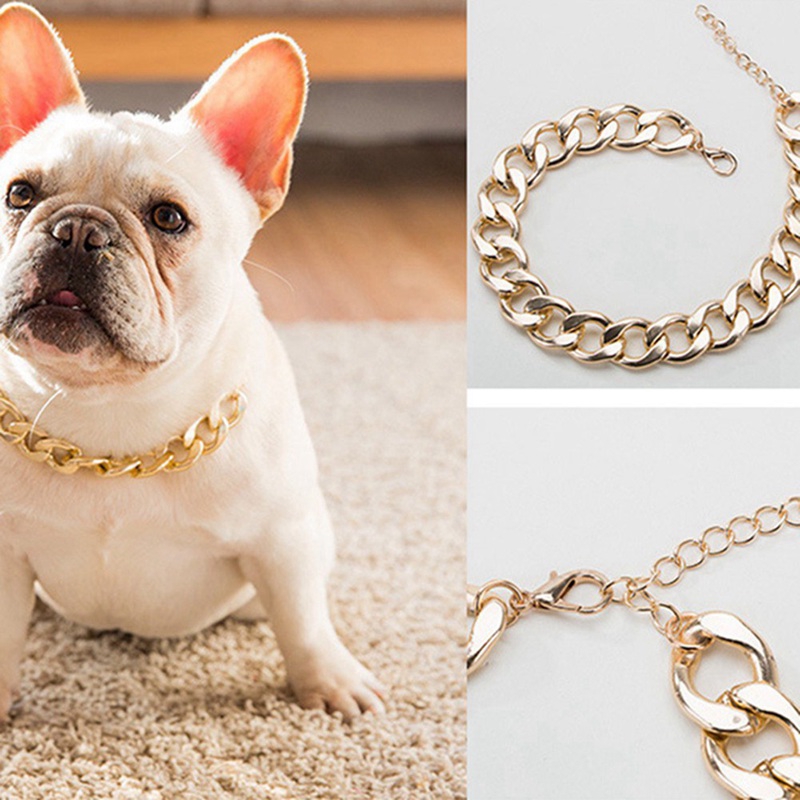 Gold necklace for outlet dog