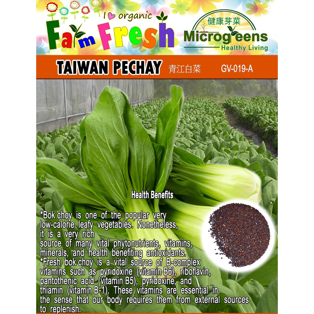 Herbs & Vegetable Seeds (Bigger Packed) (Lettuce Red and Green, Taiwan ...