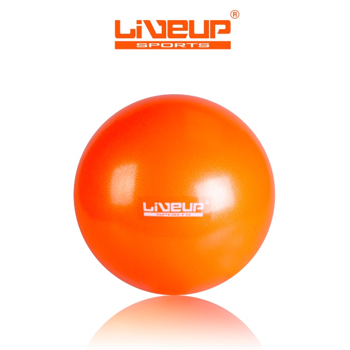 Liveup 65cm Gym Ball Shopee Philippines