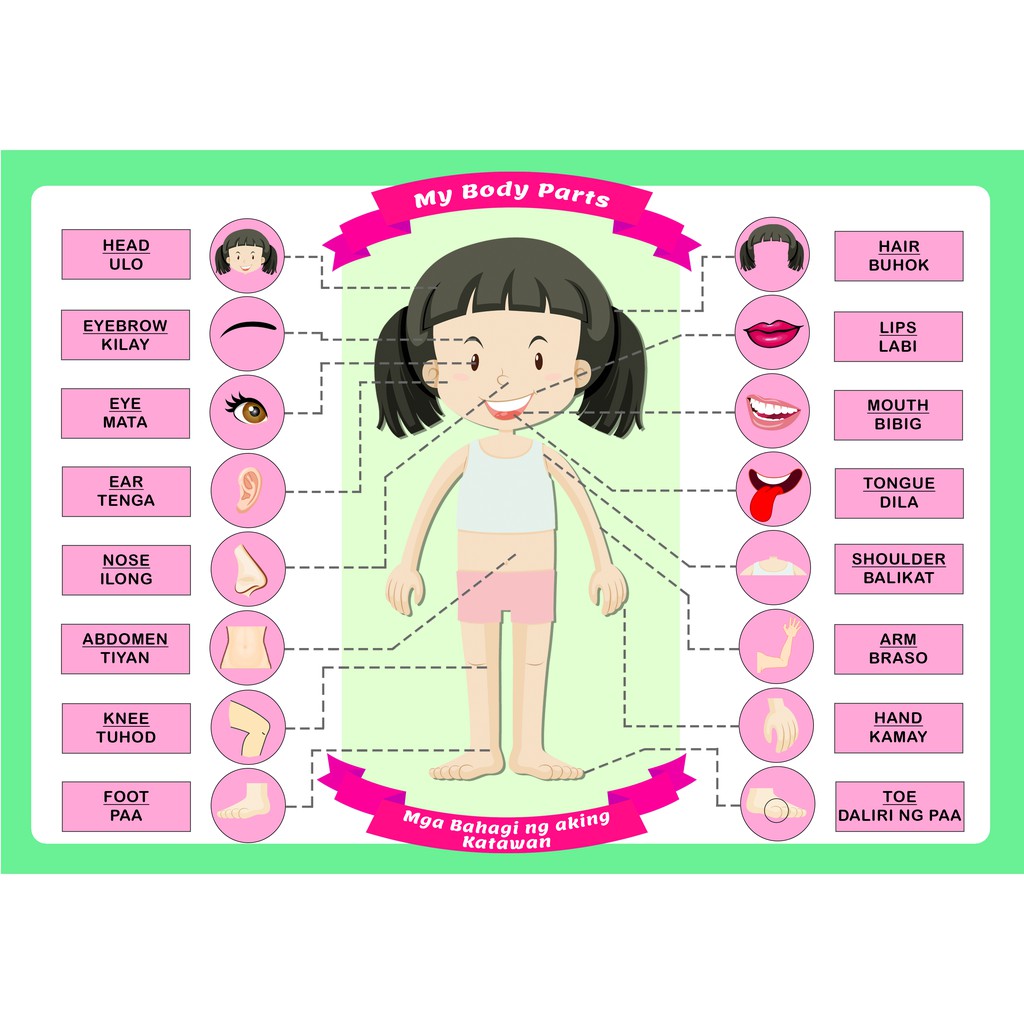 Educational Body Parts EnglishTagalog Chart for Children (Girl/Boy