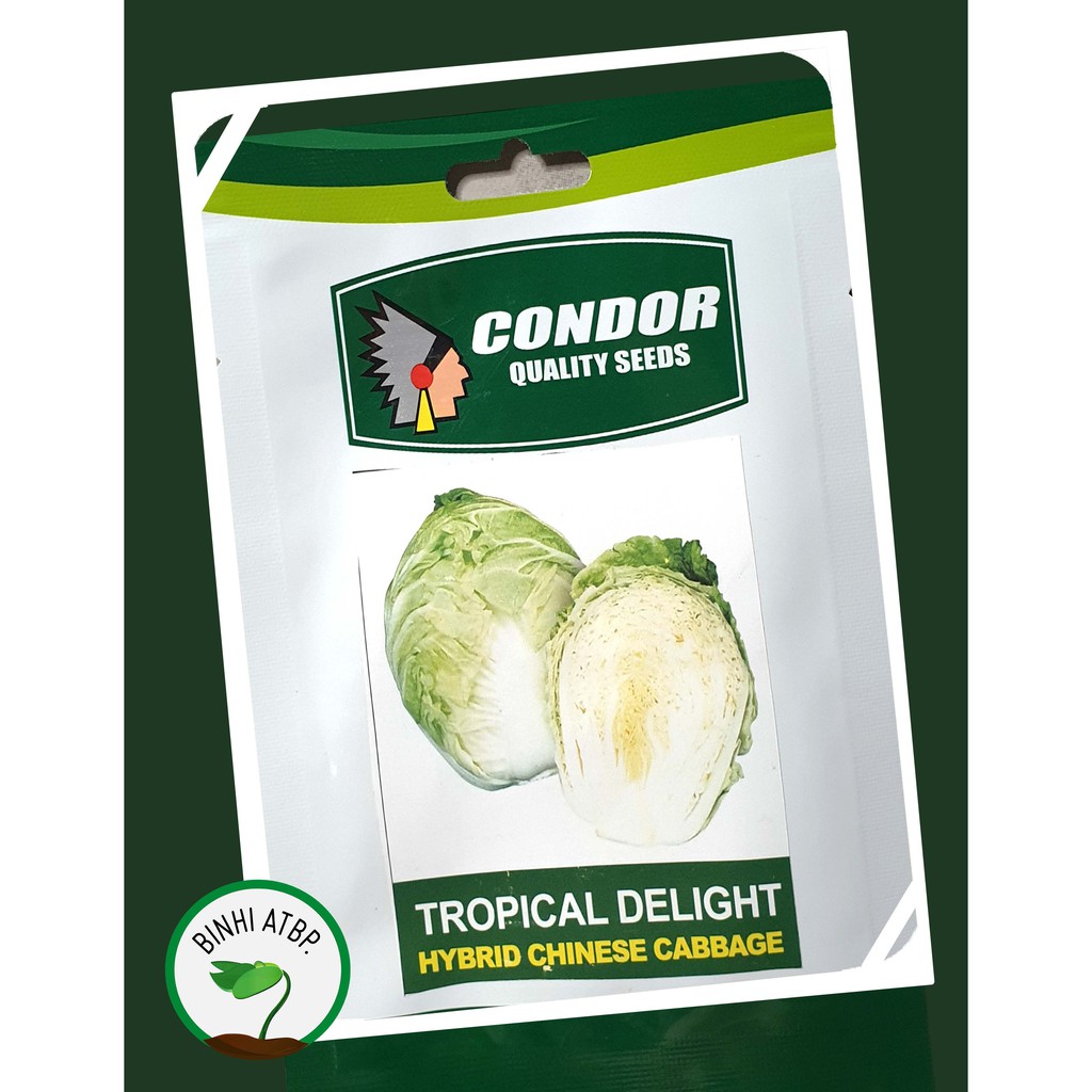 Condor Hybrid Chinese Cabbage Tropical Delight F1 Seeds (1.5 Gr Pack ...