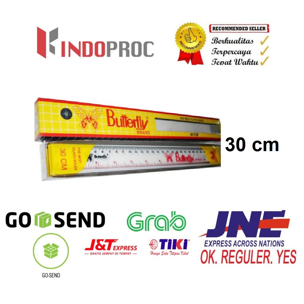 30cm Plastic BUTTERFLY Ruler | Shopee Philippines