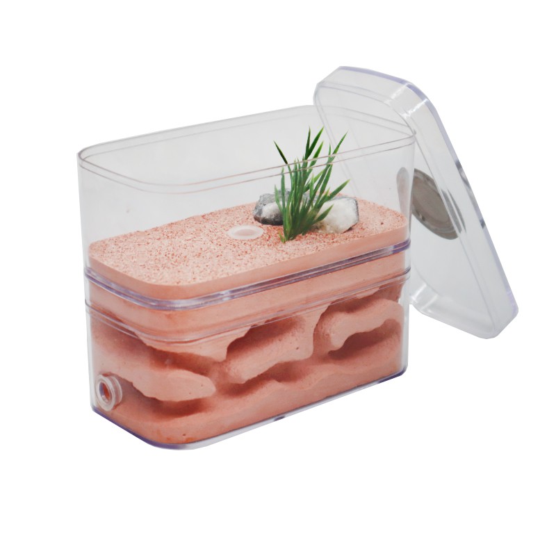 Highly Moisturizing Ant Farm Plaster Ant Nest Insect Box with Workshop ...
