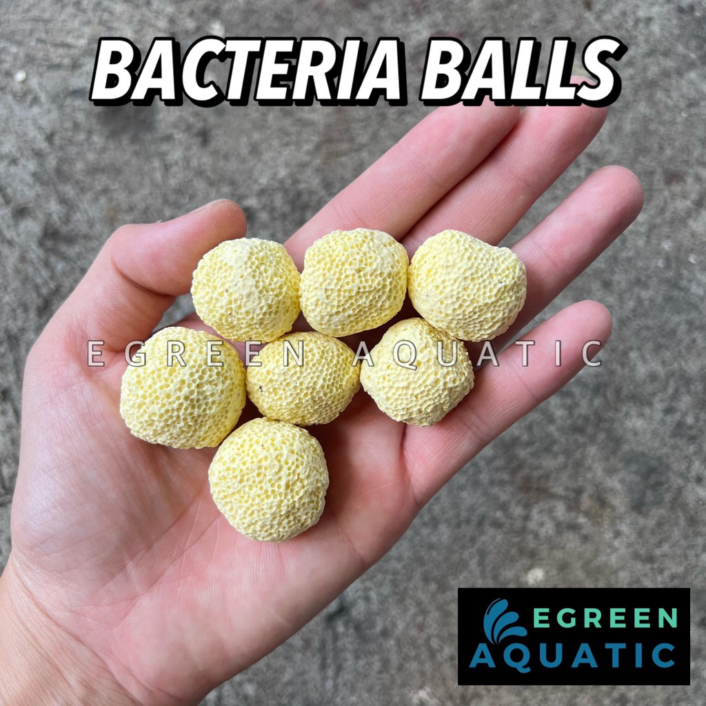 Bacteria Porous Balls 150g Aquarium Bio Filter Media Shopee