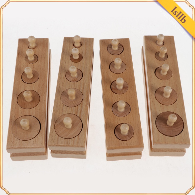 Montessori Knobless Cylinders With Socket Family Set, Kids Early ...