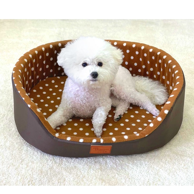 Standard dog outlet bed sizes