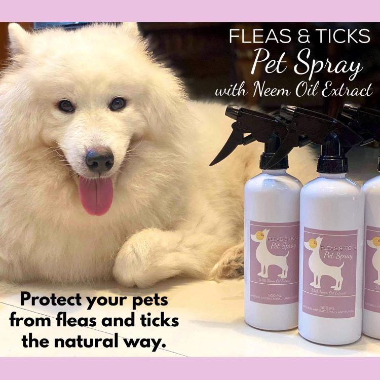 Image showcasing TICK AND FLEA SPRAY with NEEM OIL EXTRACT (Lavender scent) | Shopee ...