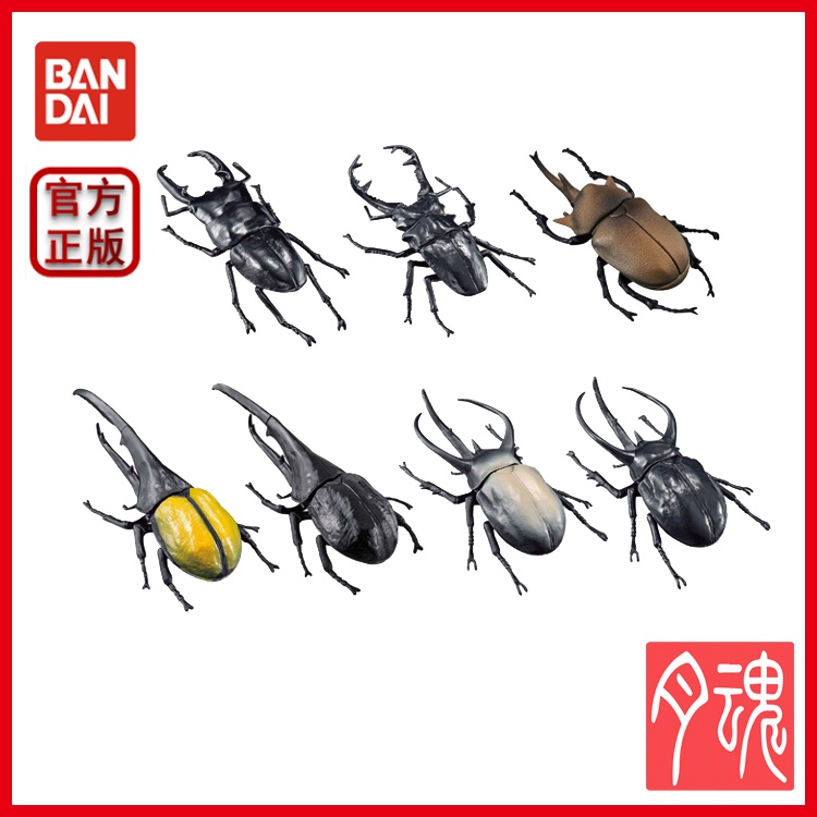 ☄℗ Bandai Capsule Large World Insect Series 3 Beetle Unicorn Stag ...