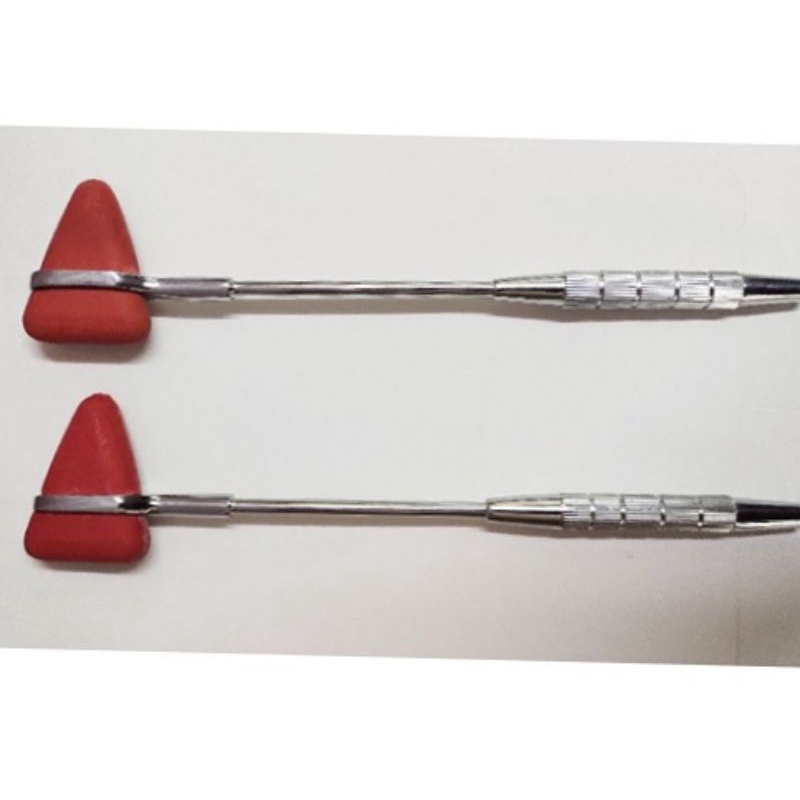 Secheron Reflex Hammer/Percussion Hammer with Pin and Brush | Shopee ...