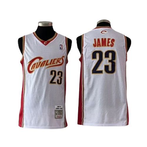 cavs lebron jersey