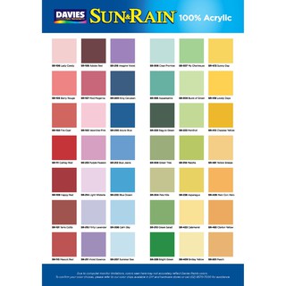 Davies Sun and Rain 1 Liter Elastomeric Paint 100% Acrylic ...