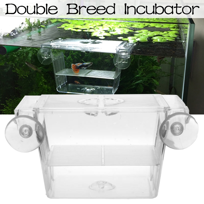 Double Breed Incubator Breeder Rearing Trap Box Transparent Acrylic ...