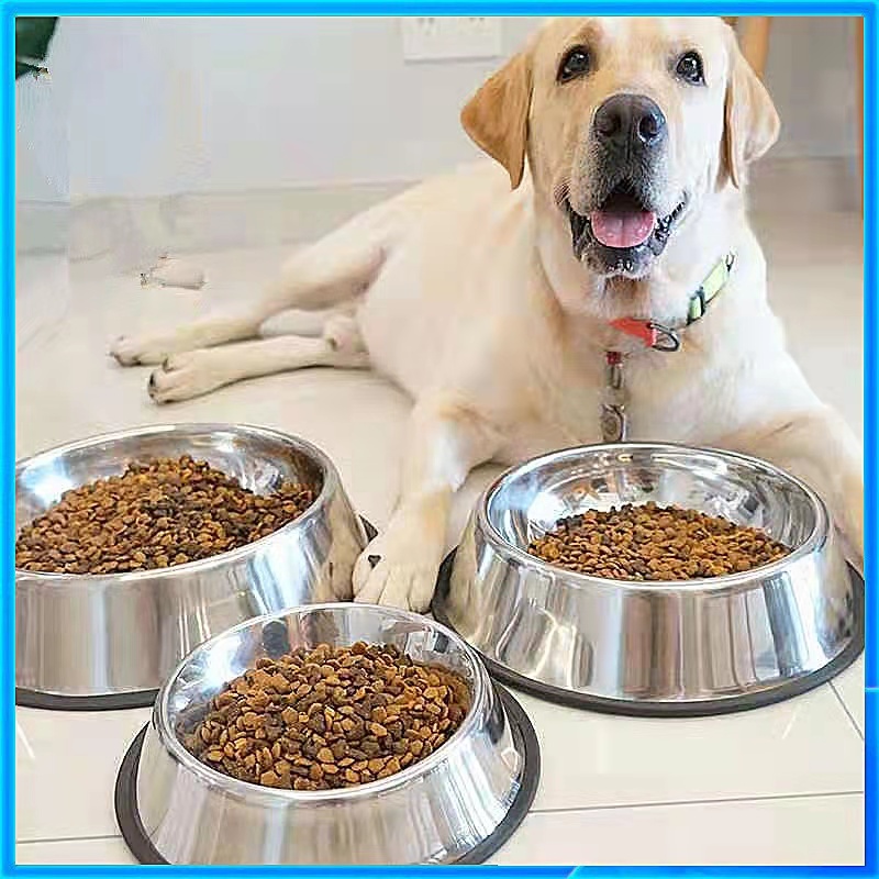 Dog food clearance plate