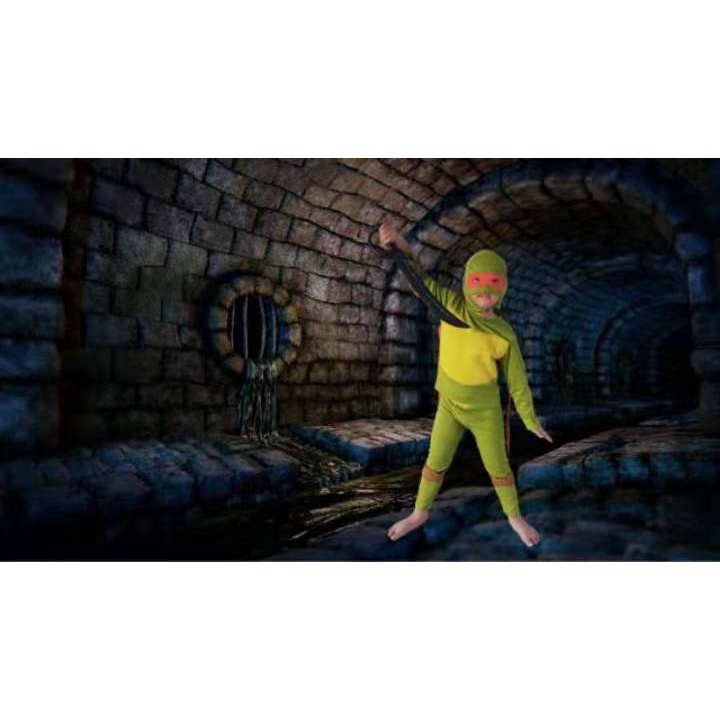 Ninja Turtle Color Green Set Costume For Kids(2-8yrs old) | Shopee ...