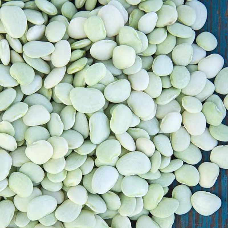 Patani Po Or Lima Beans Seeds Binhi Po Ang Tinitinda Namin25pcs For