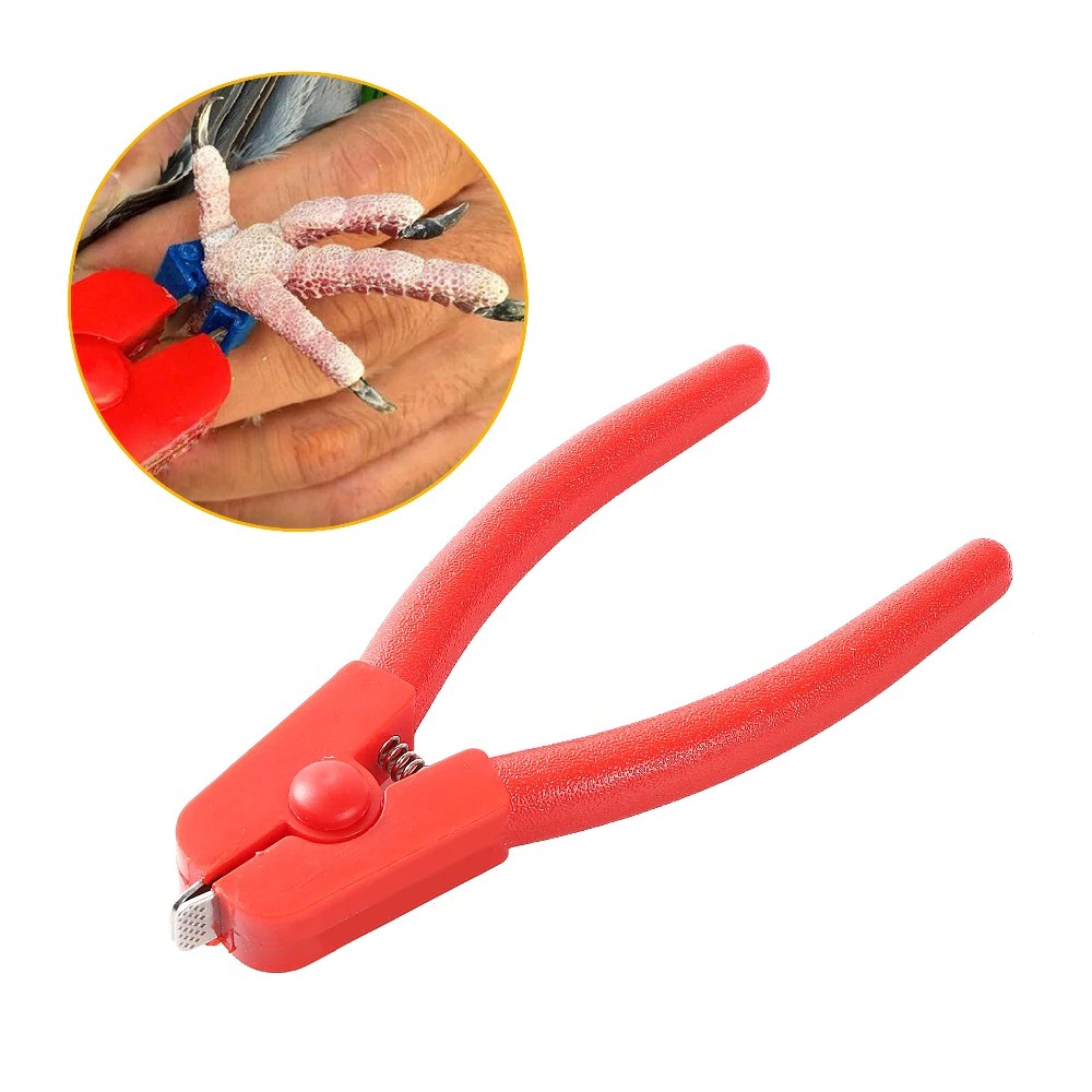 1Pc Multi Function Disassembly Bird Foot Ring Tool Professional ...