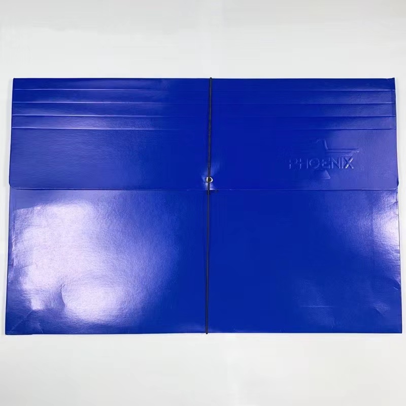 10 PCS EXPANDED ENVELOPE ASSORTED COLOR WITH GARTER ( LONG ),FILE ...
