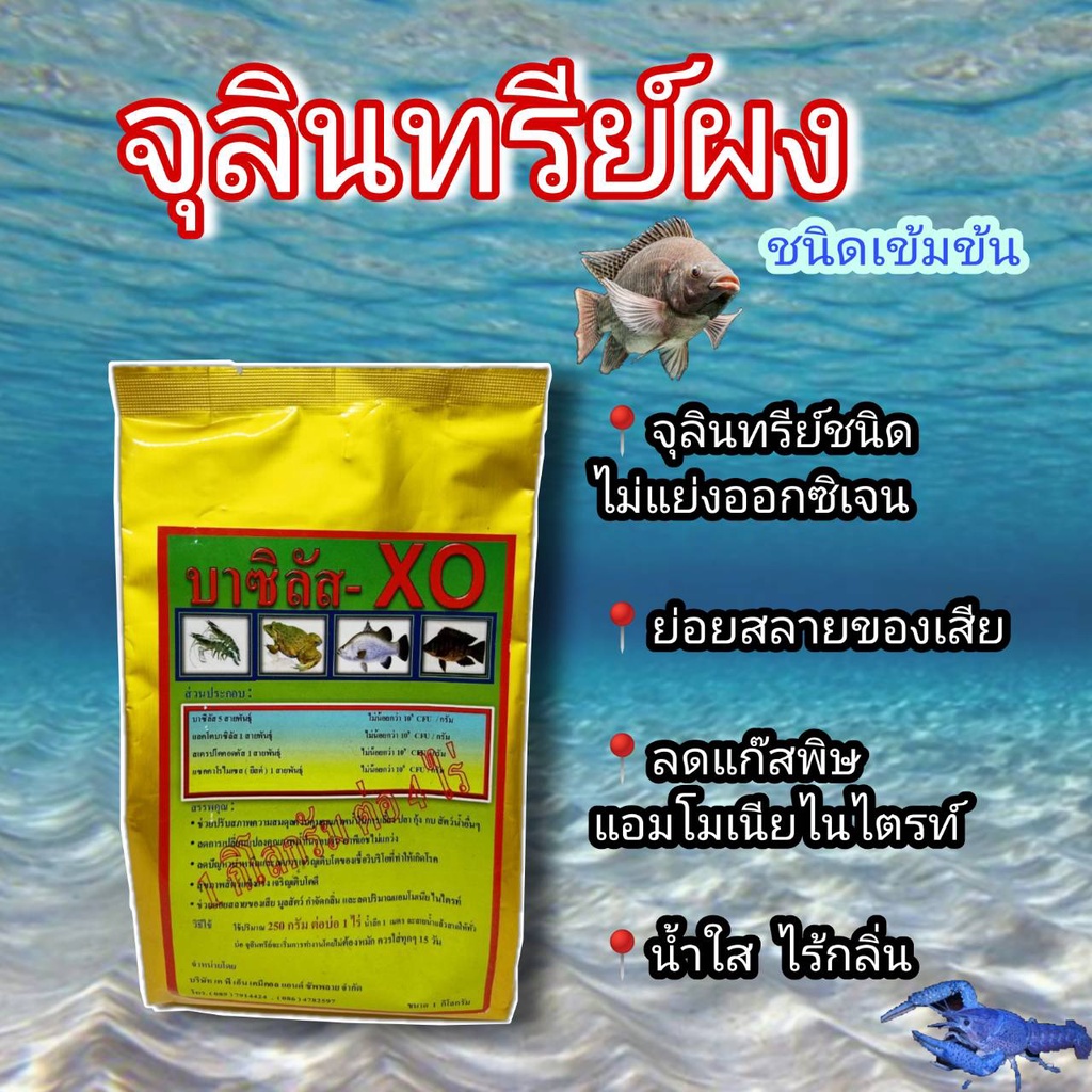 bacillus-microorganisms-concentrated-leavening-agent-for-ponds-of