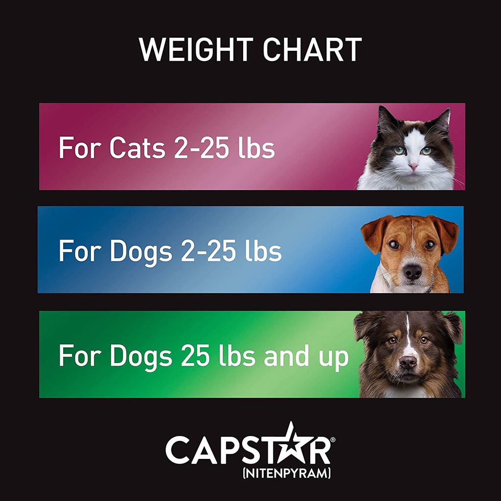 Capstar for dogs under 25 lbs best sale