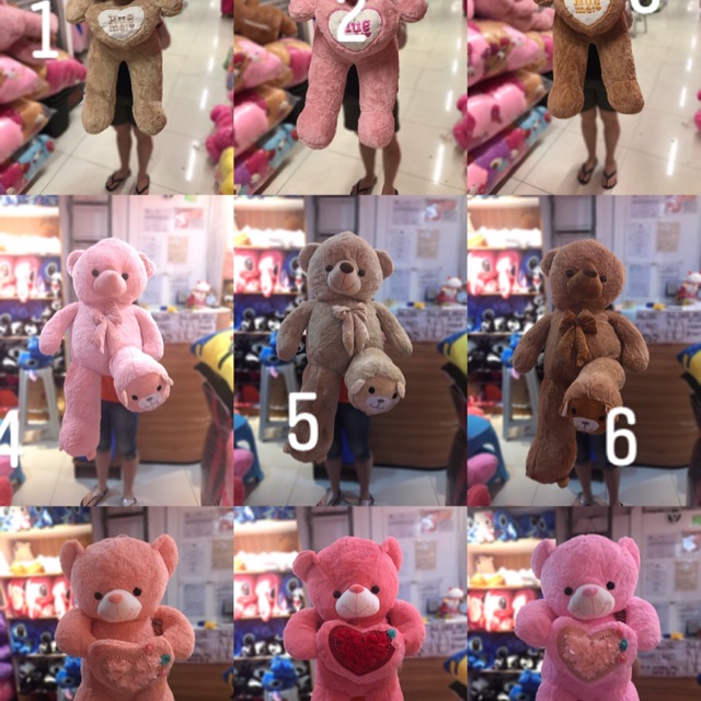 Teddy bear hypoallergenic hot sale