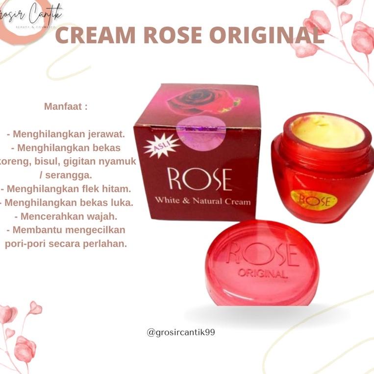 Embos Potted CREAM ROSE ORIGINAL | Shopee Philippines