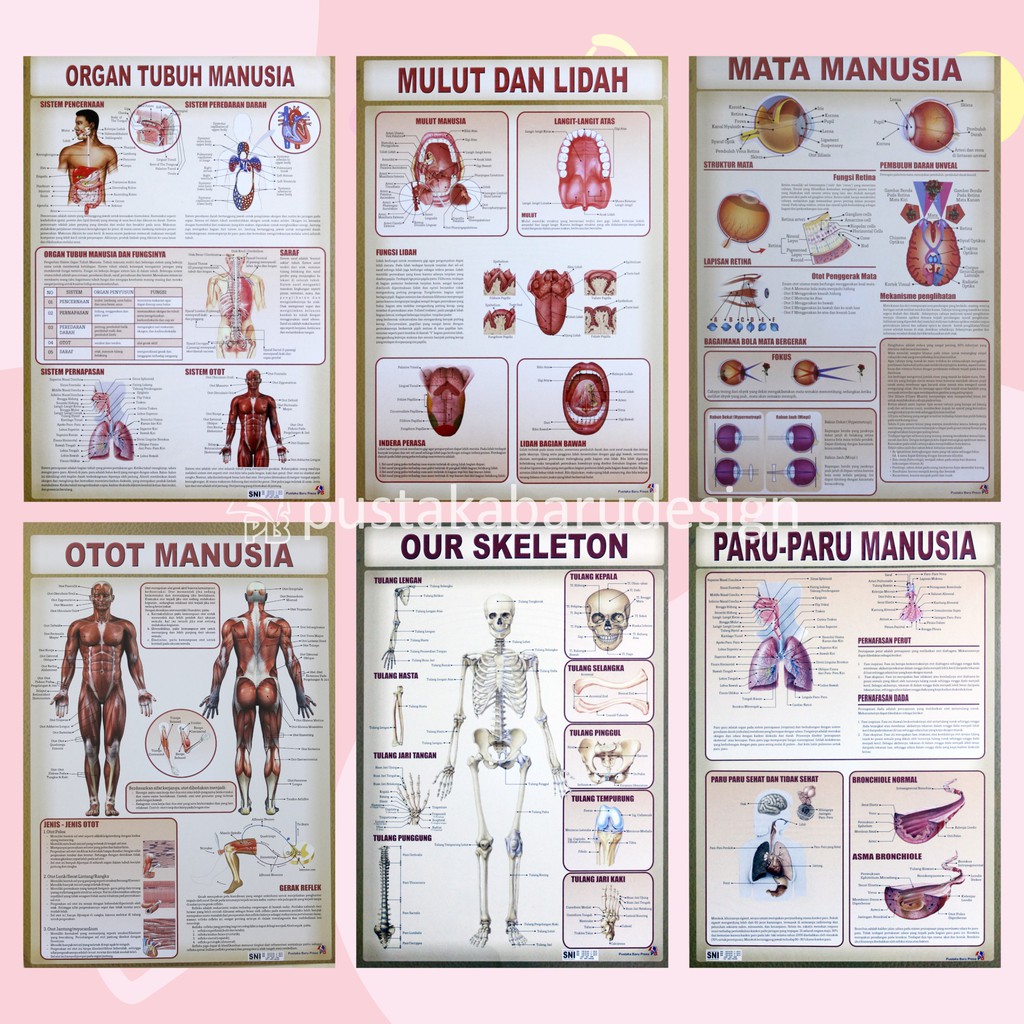 MATA Children's Educational Posters / Children's Posters / Children's ...