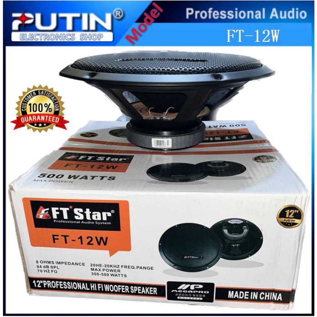The Subwoofer FT 12 FT Star FT 12W 500 WATTS 12 inch professional