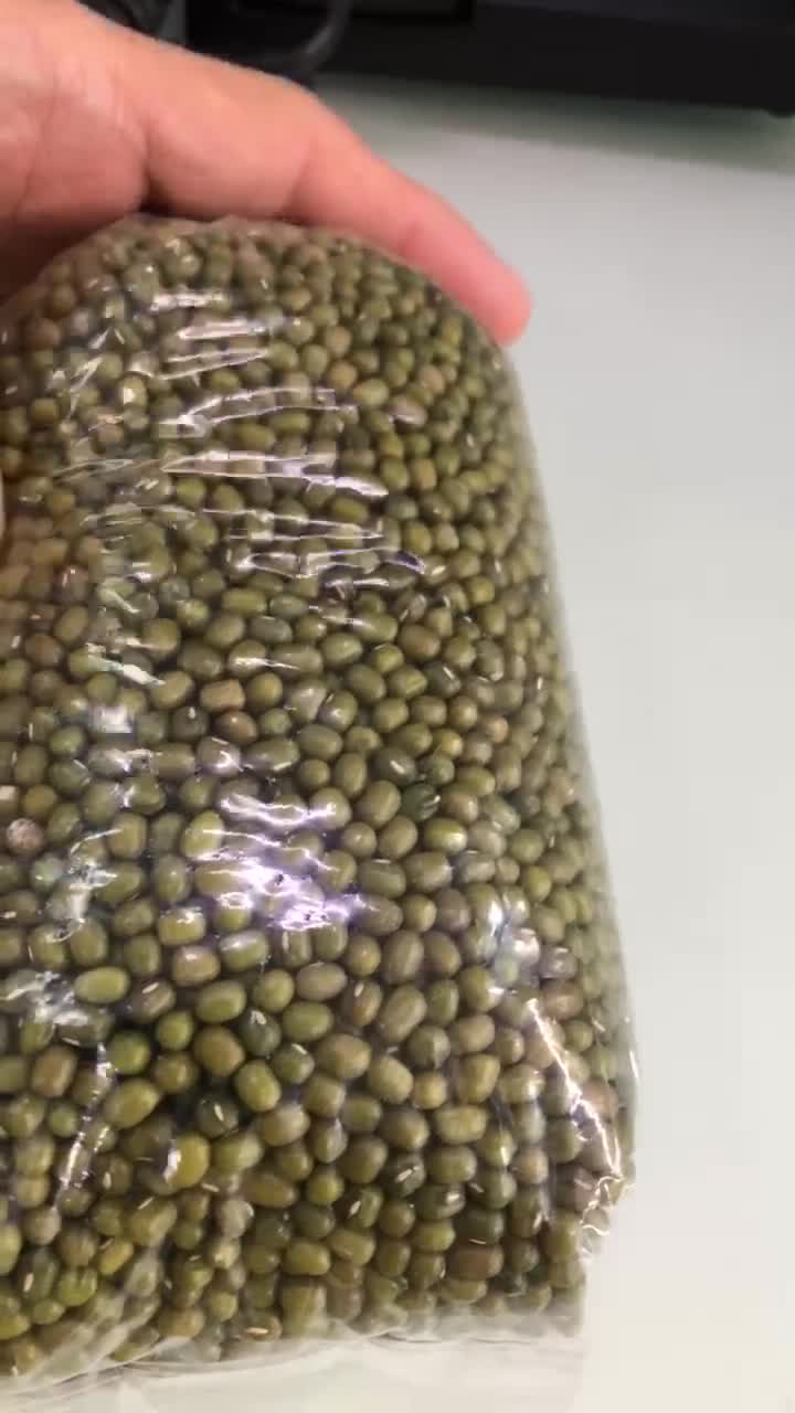 Munggo Berde Balatong green Kintab 500g non GMO polished | Shopee ...