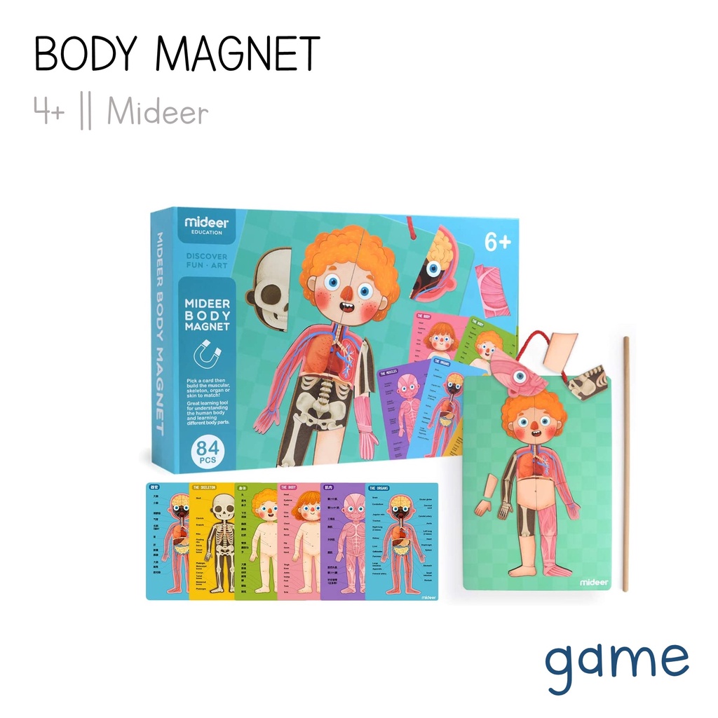 Mideer Body Magnet (English and Indonesian) | Shopee Philippines