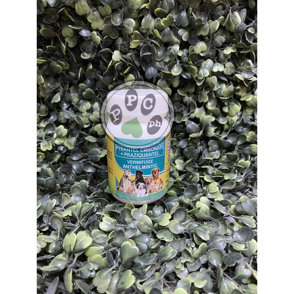 Papi Vermifuge Deworming Tablet 30tabs | Shopee Philippines