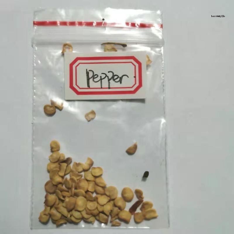 Siling Labuyo Seeds – Capsicum frutescens – MDNT