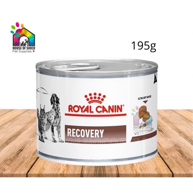 Royal Canin Veterinary Recovery Dog Cat Mousse 12 x 195 g