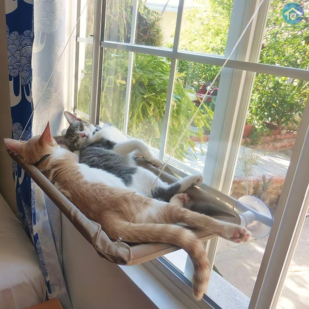 Canvas cat bed hotsell