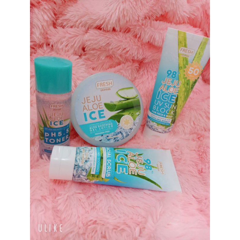 aloe vera kaputt Echte Aloe