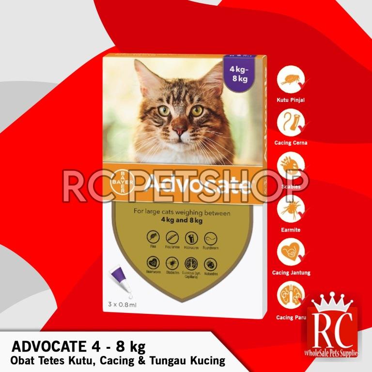 Curated visual reference: Fresh Look at Advocate Cat Flea Scabies Flea Worm Flea Drops 4 8