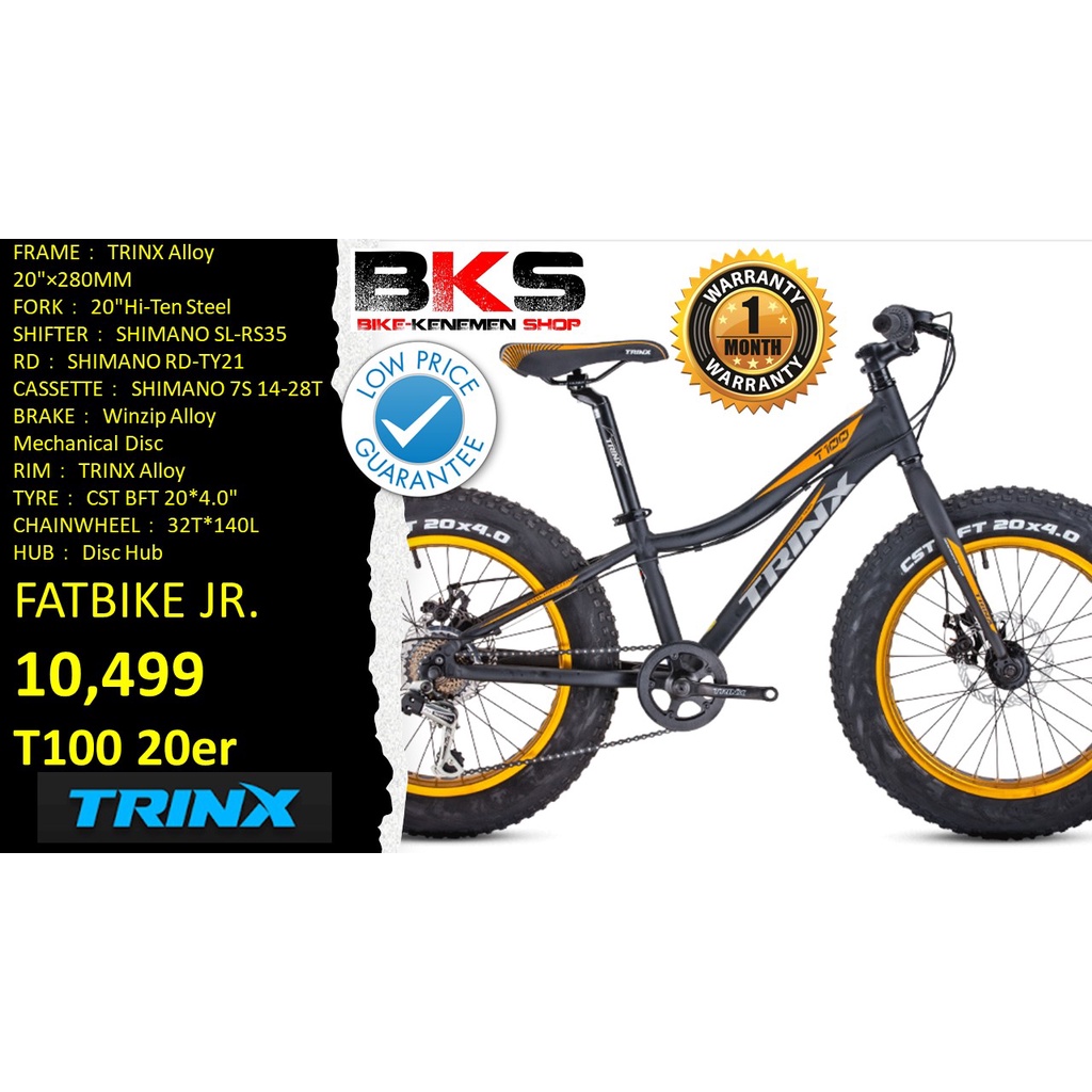 Trinx fat store bike price