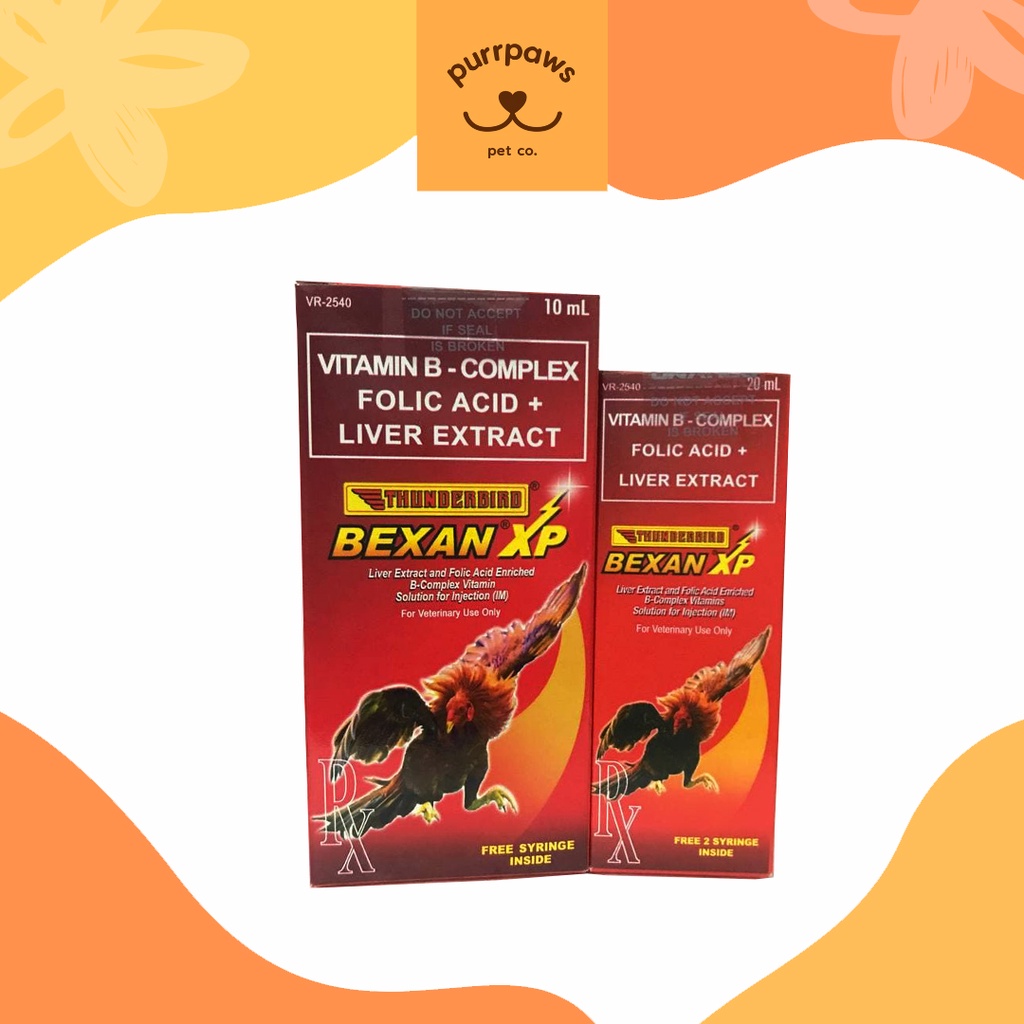 Thunderbird Bexan XP (10 ml - 20 ml) | Shopee Philippines