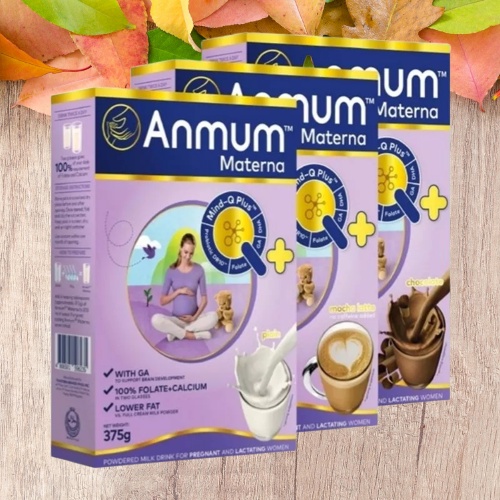 Anmum Materna 180g/375g (Plain/Chocolate) | Shopee Philippines