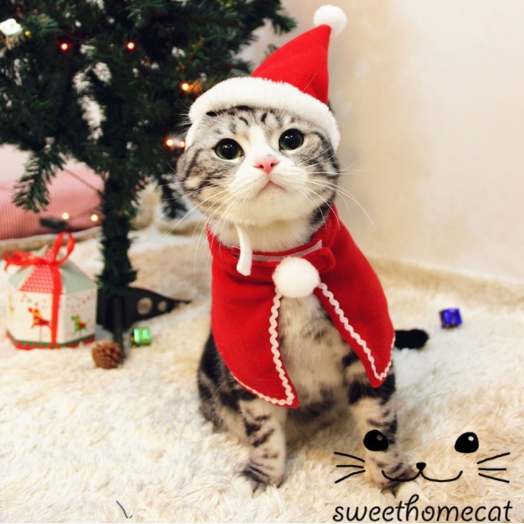 Creative Pet Costume for Christmas Cat Costume Cape Cat Dog Puppy Santa Red  Scarf Hat Christmas Clothes Costumes Warm Apparel