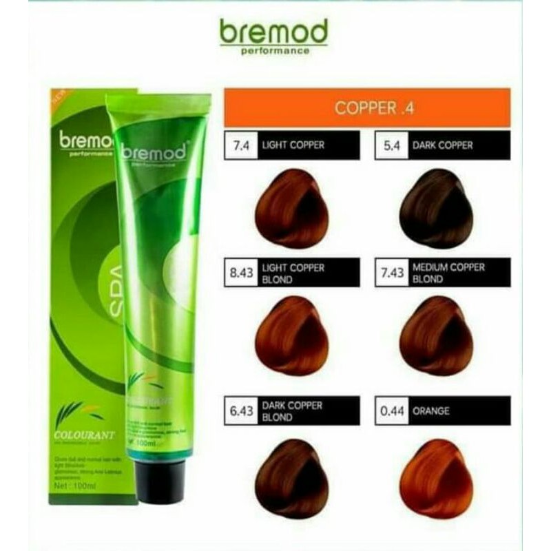 BREMOD PRODUCTS/HAIRCOLOR Shopee Philippines