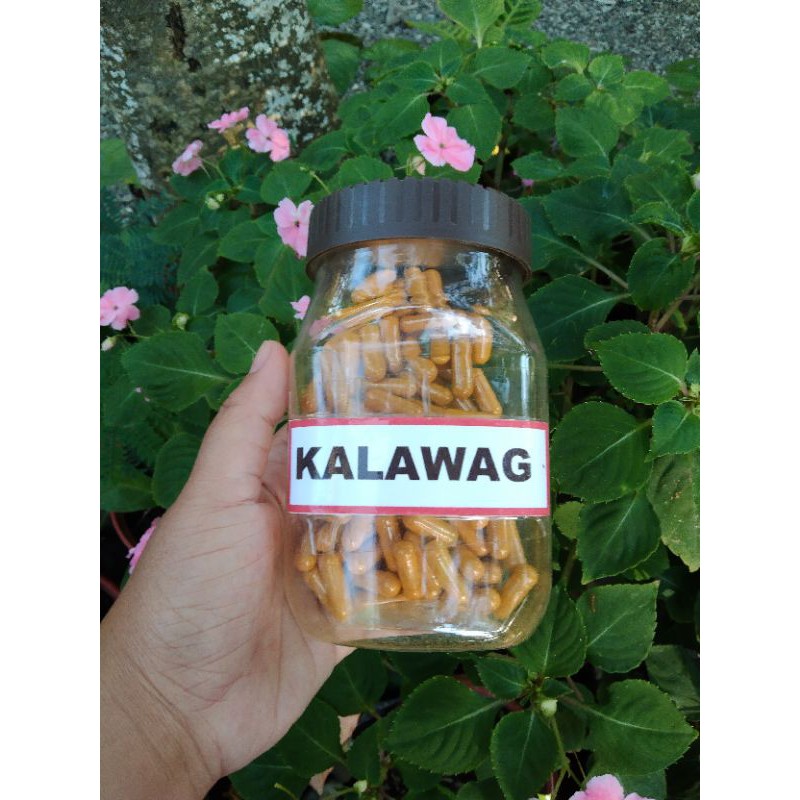 Turmeric Capsule (Kalawag) Shopee Philippines