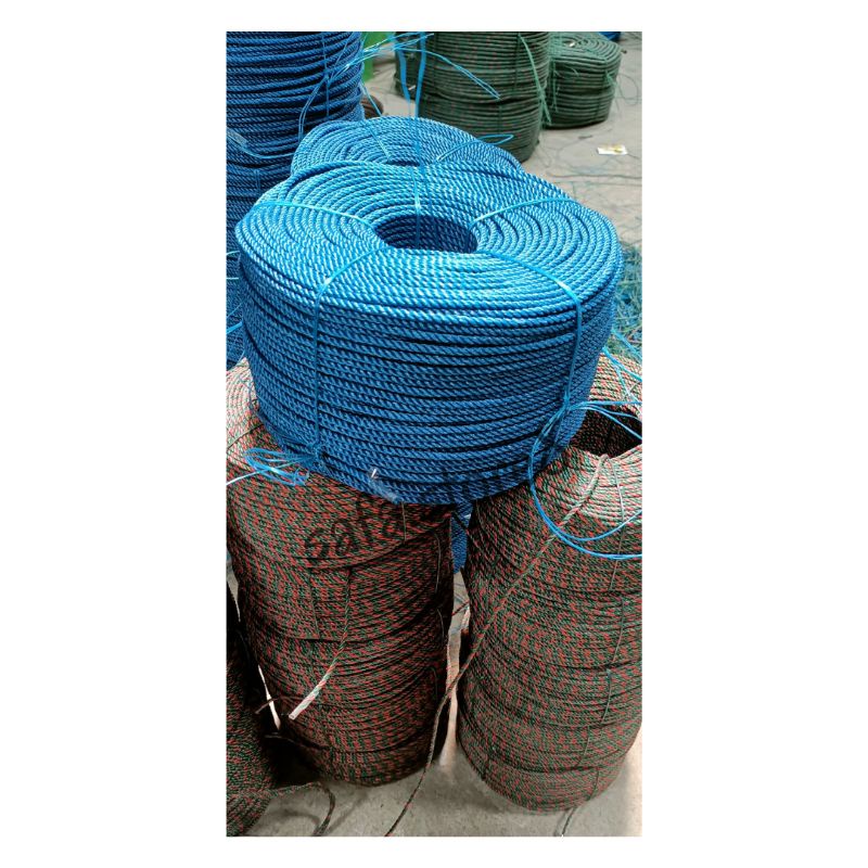 Plastic MINE ROPE/CAPPING ROPE 6mm | Shopee Philippines