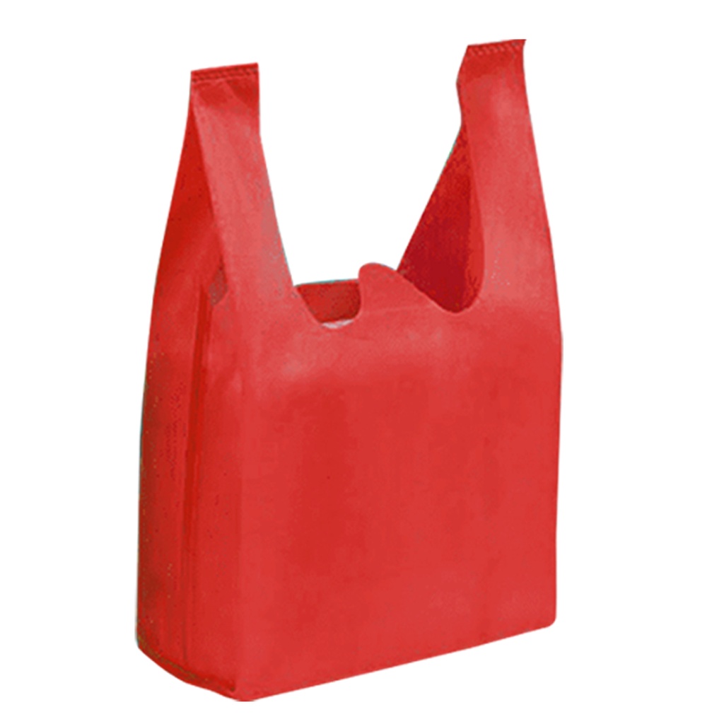 25 pcs Eco bag sando bag plain reusable non-woven vest bag