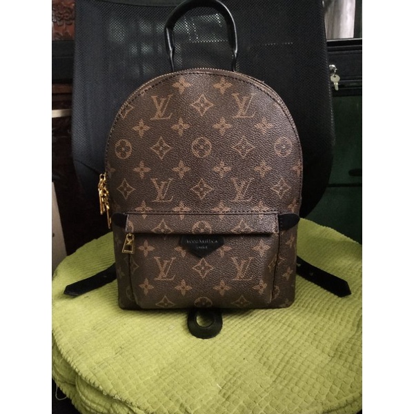 Louis Vuitton Women Palm Springs PM Brown Monogram Canvas Backpack