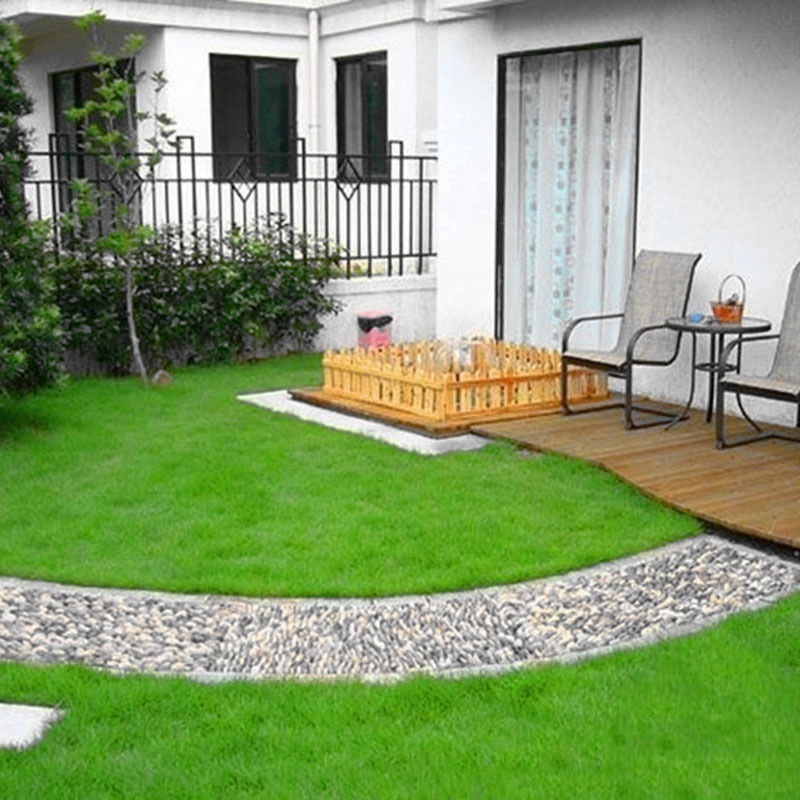 New 2000Pcs Tall Fescue Green Grass Seed Festuca Arundinacea Lawn Field ...