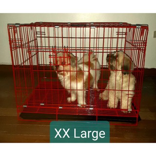 20 x 2025 30 dog kennel